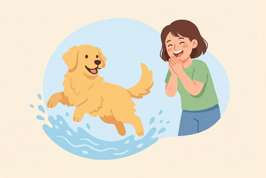 5 leuke weetjes over Golden Retrievers die elke hondenbaas moet kennen