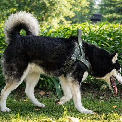 StrapSure - Arnés para Perros Ajustable Sin Tirones