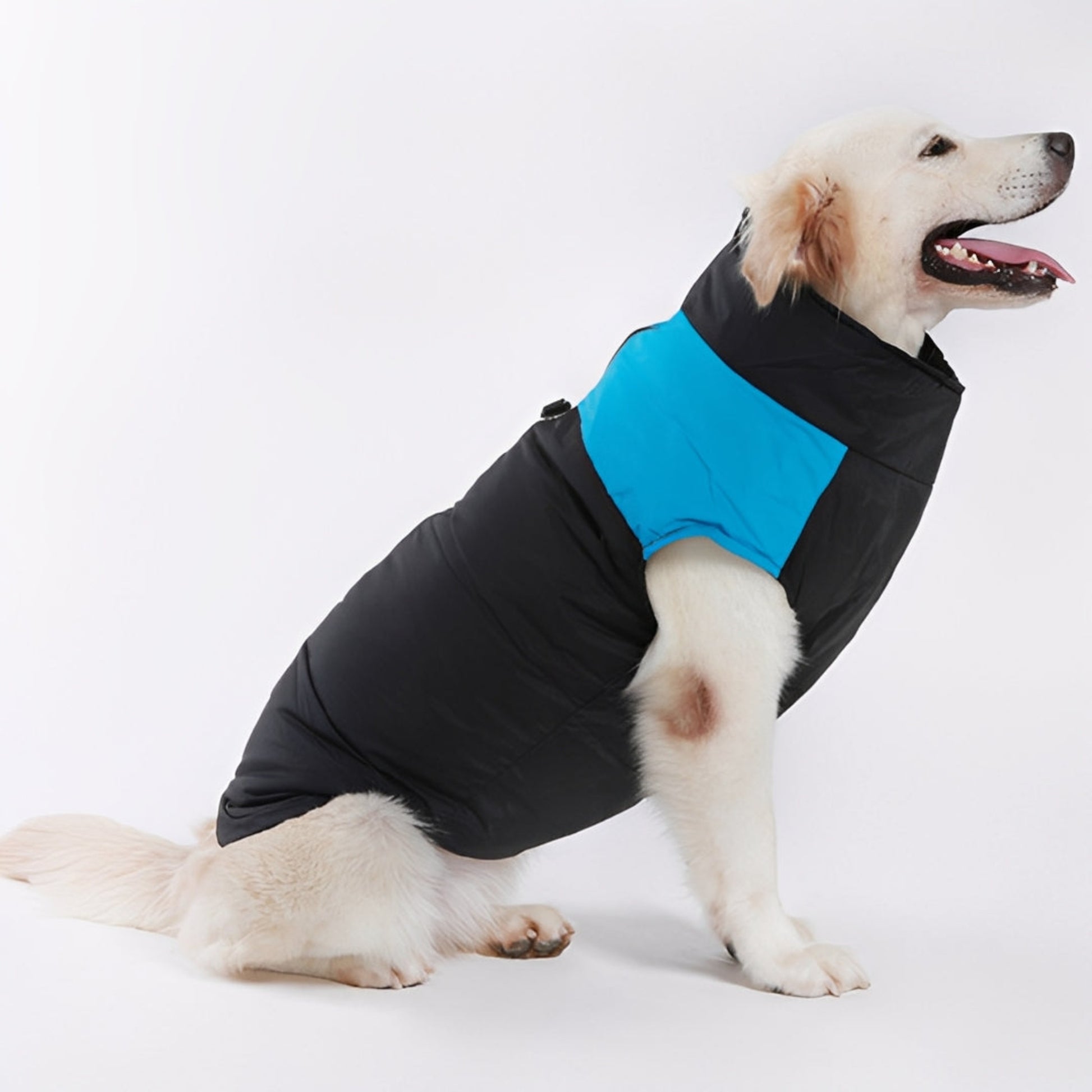 CozyNest - Refugio cálido y seguro para mascotas