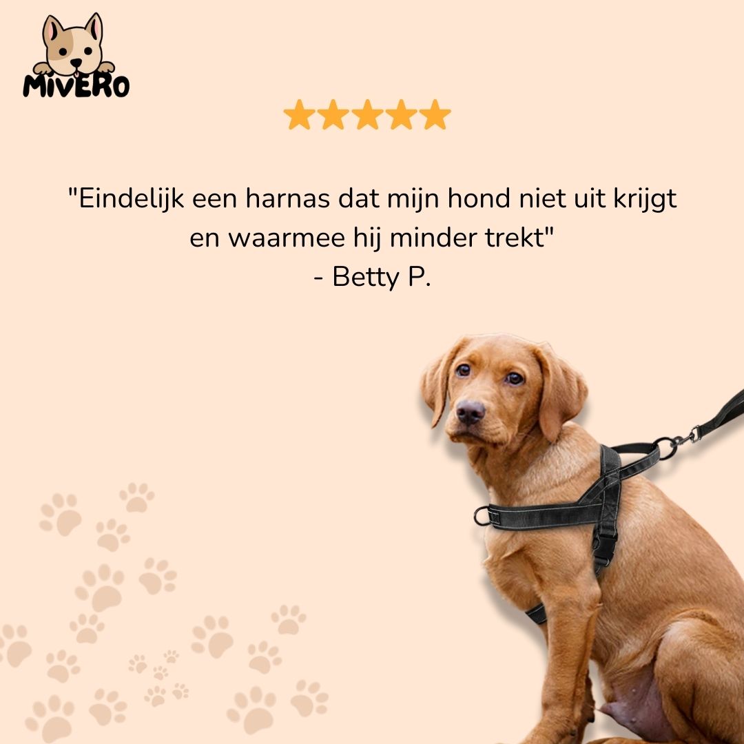 strapsure - arnés para perros ajustable sin tirones