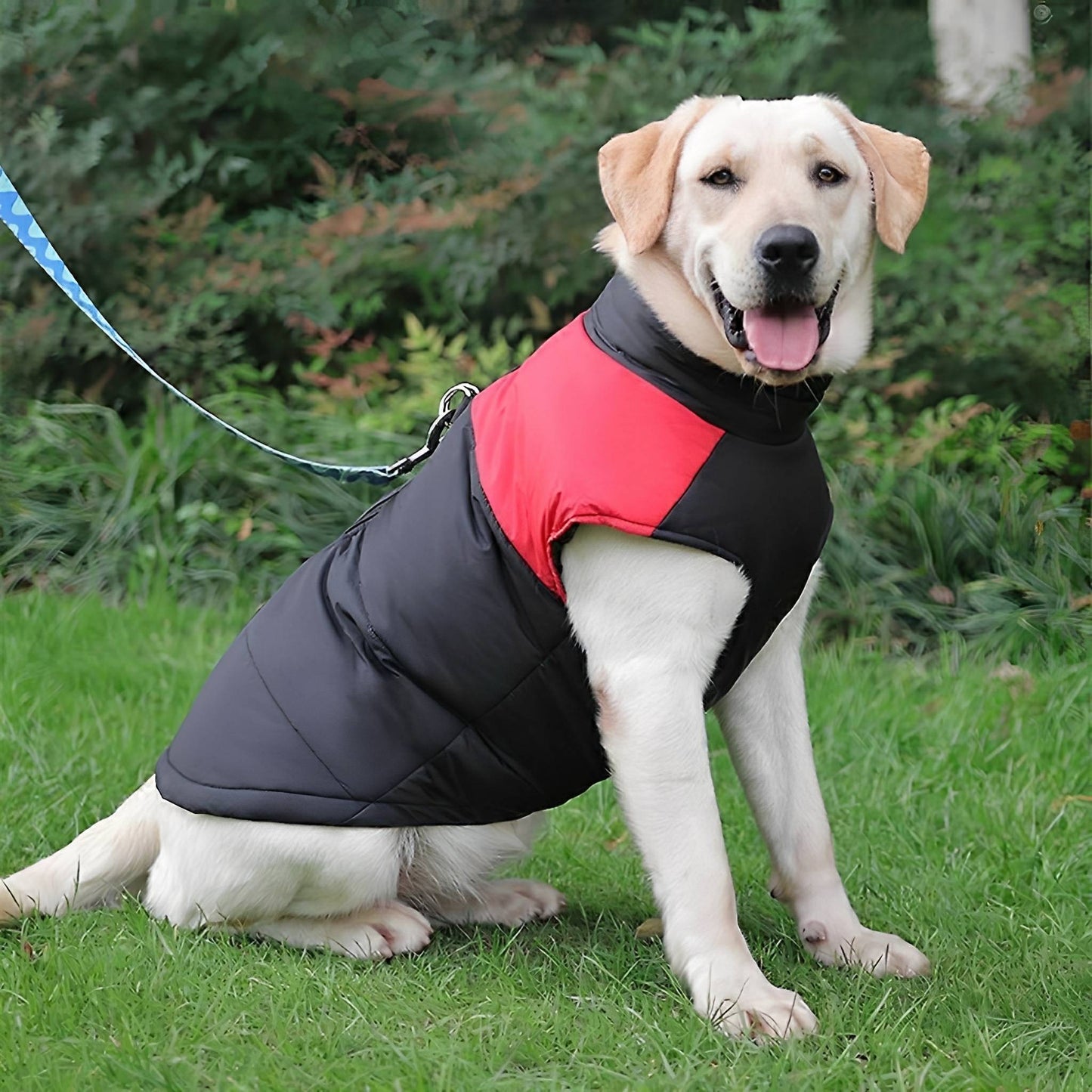 comfura - chaqueta para perros impermeable con cremallera y arnés