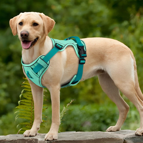 AirLeash - Ademend Reflecterend Hondentuig - Mivero