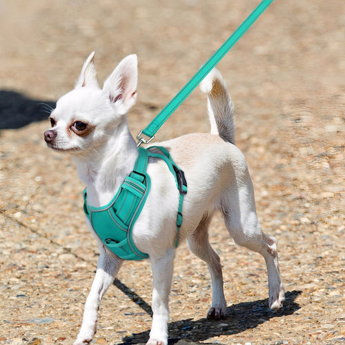 AirLeash - Ademend Reflecterend Hondentuig - Mivero