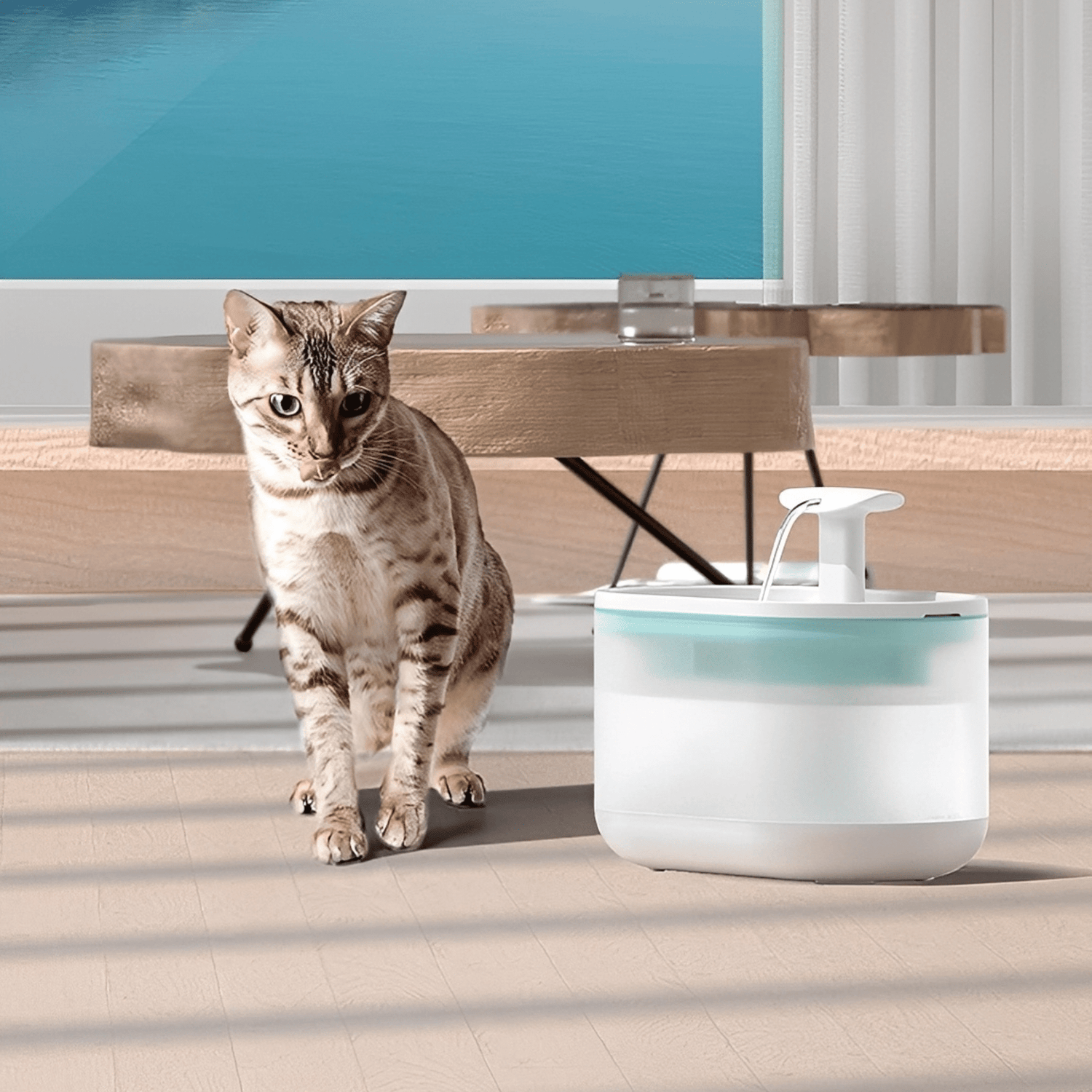 AquaFlow - Bescherm je Kat Tegen Gevaarlijke Bacteriën! - Mivero