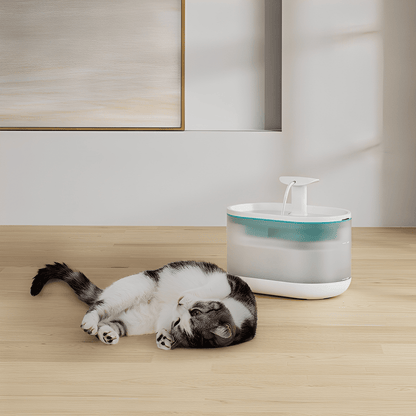 AquaFlow - Bescherm je Kat Tegen Gevaarlijke Bacteriën! - Mivero