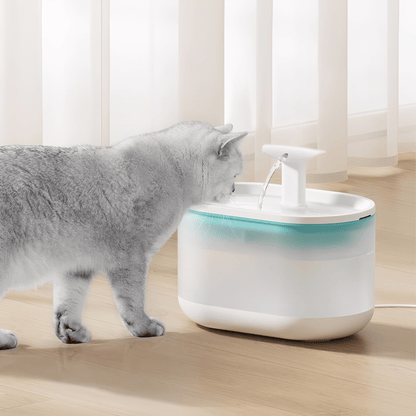 AquaFlow - Bescherm je kat tegen gevaarlijke bacteriën! - Mivero