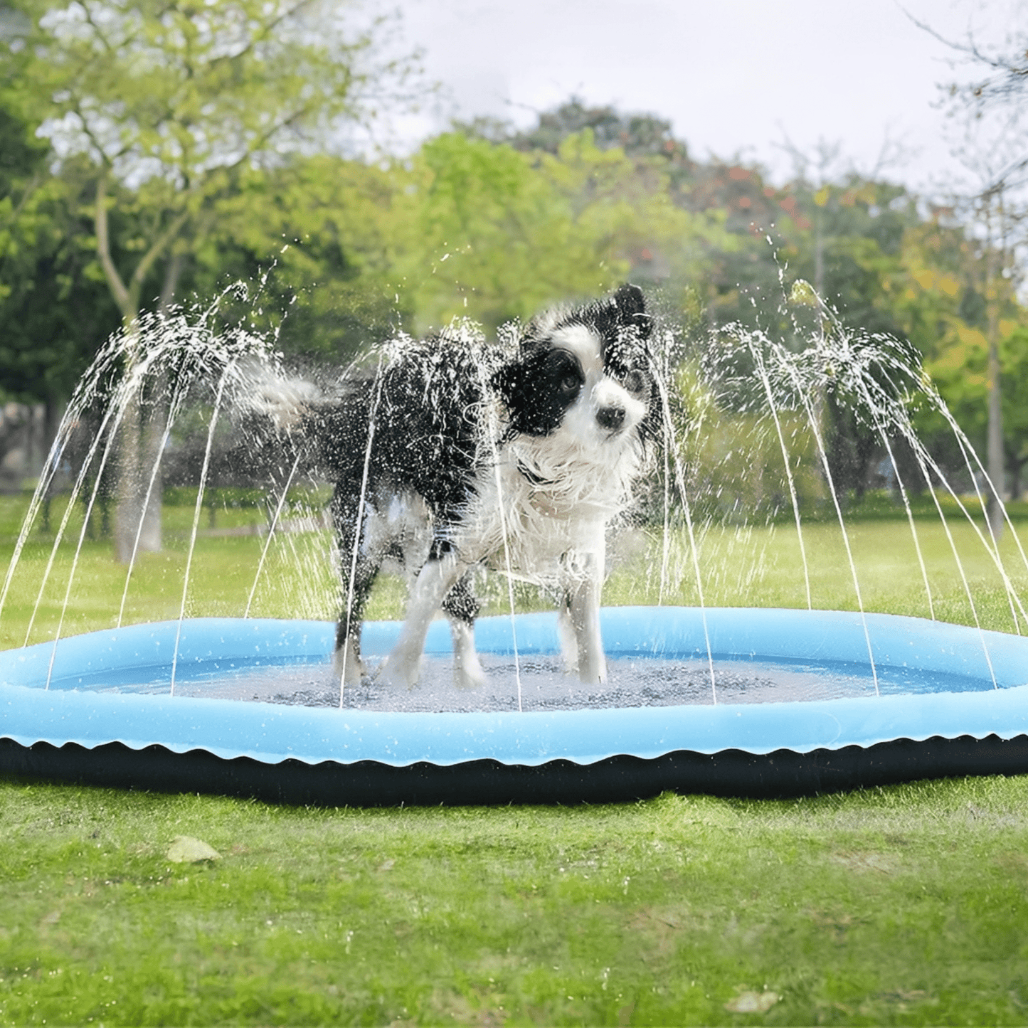 aquapaws - verfrissend speelplezier voor elke hond! - mivero