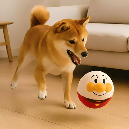 BouncyBalls - Het interactieve hondenspeeltje - Mivero