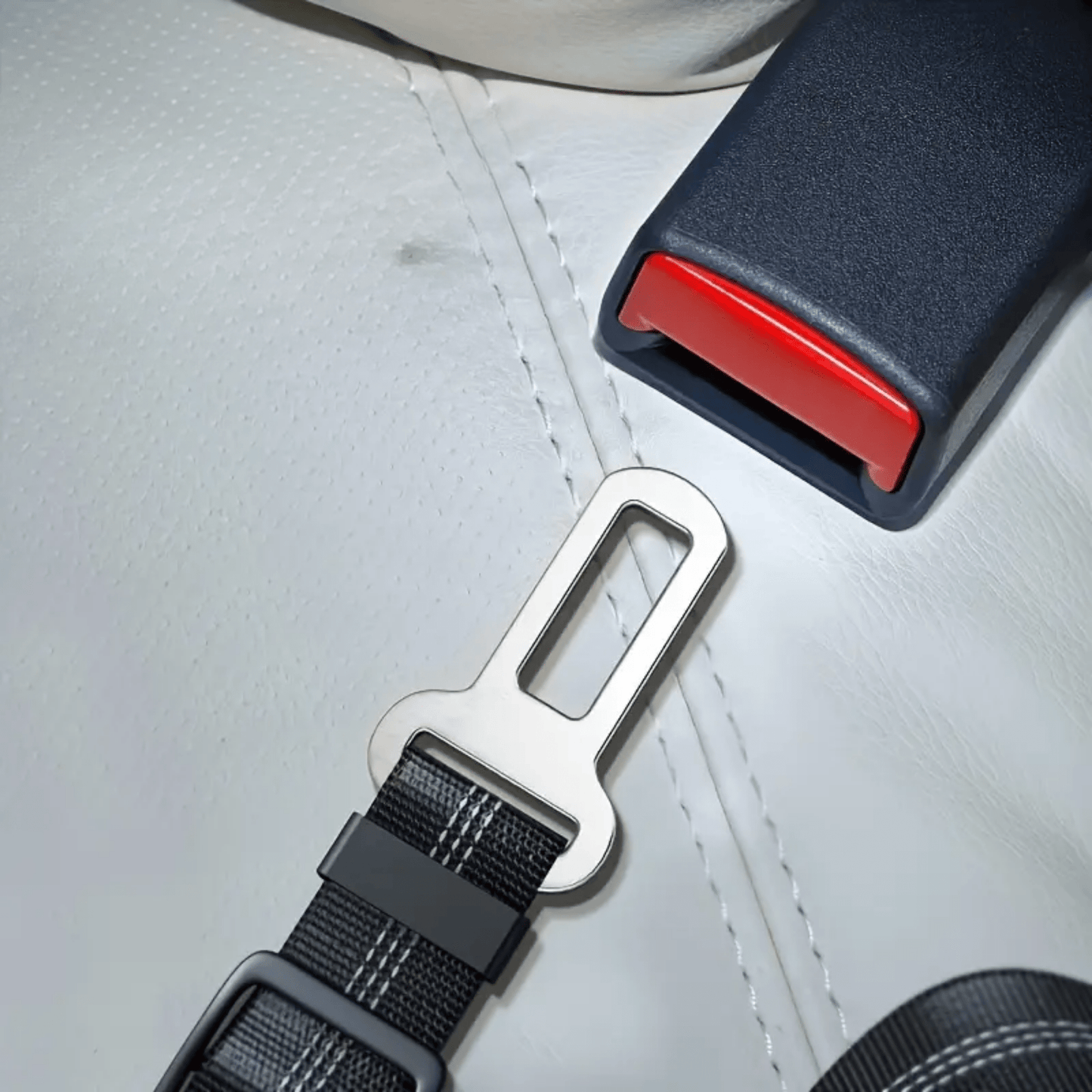 bufbelt - honden autogordel verstelbaar elastisch - mivero