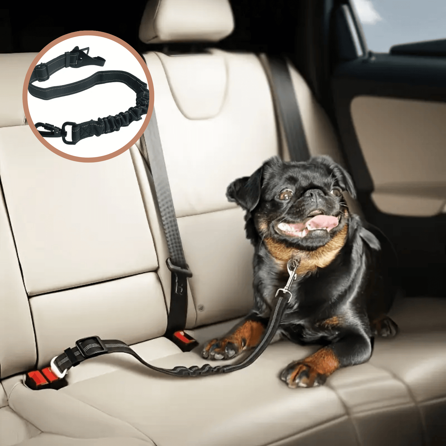 bufbelt - honden autogordel verstelbaar elastisch - mivero