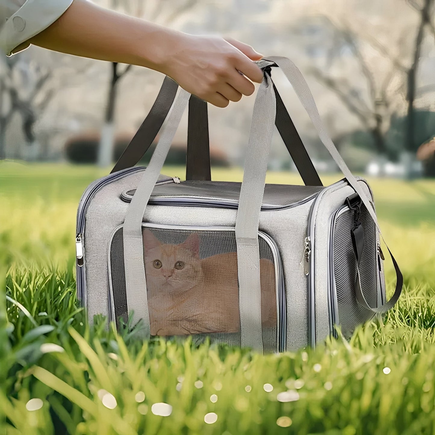 carrypaws - uitbreidbare rolkoffer draagtas - mivero