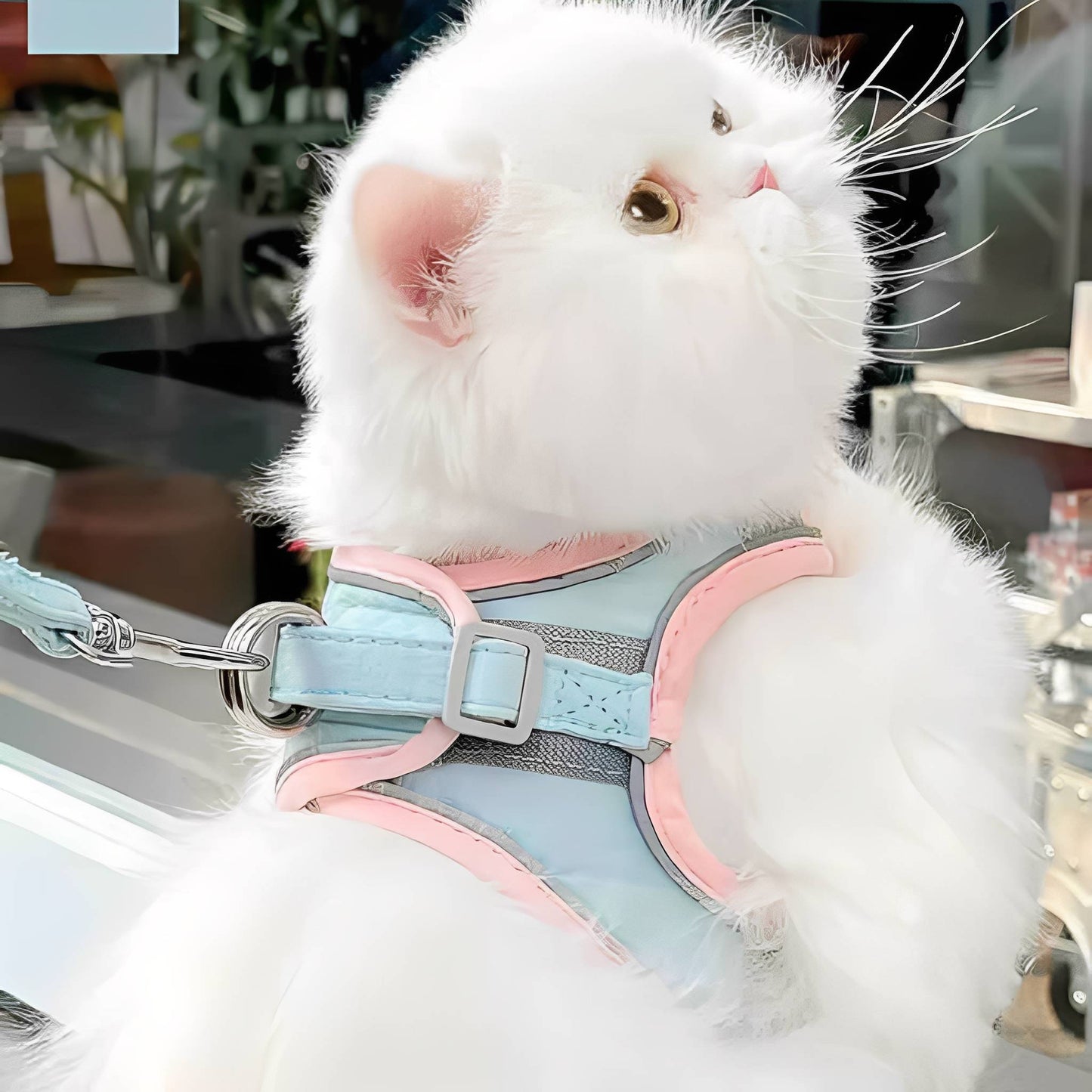 catventure - verstelbaar veiligheidstuigje kat - mivero