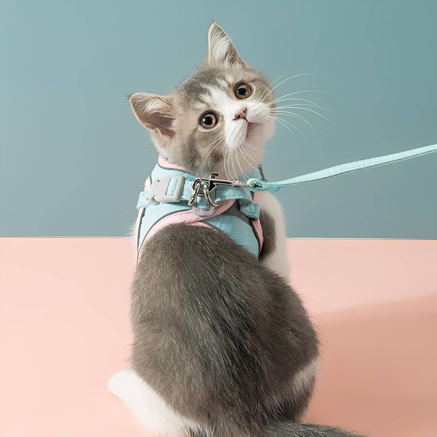 catventure - verstelbaar veiligheidstuigje kat - mivero