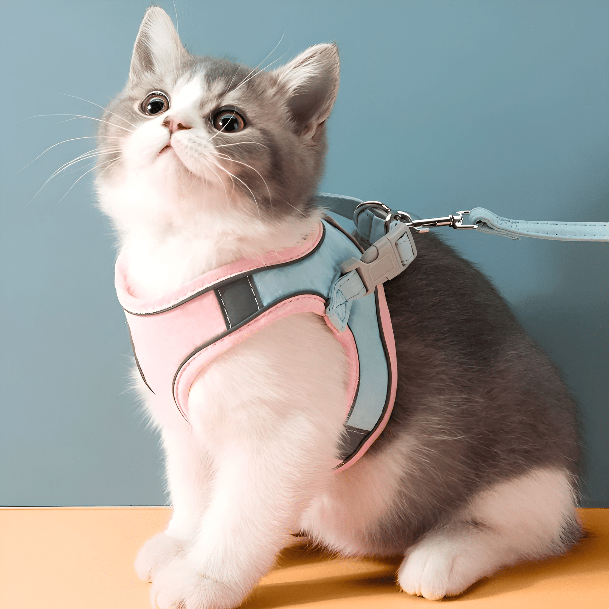 Catventure - Verstelbaar Veiligheidstuigje Kat - Mivero