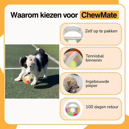 ChewMate - Honden Speelbal met Handvat en Pieper - Mivero