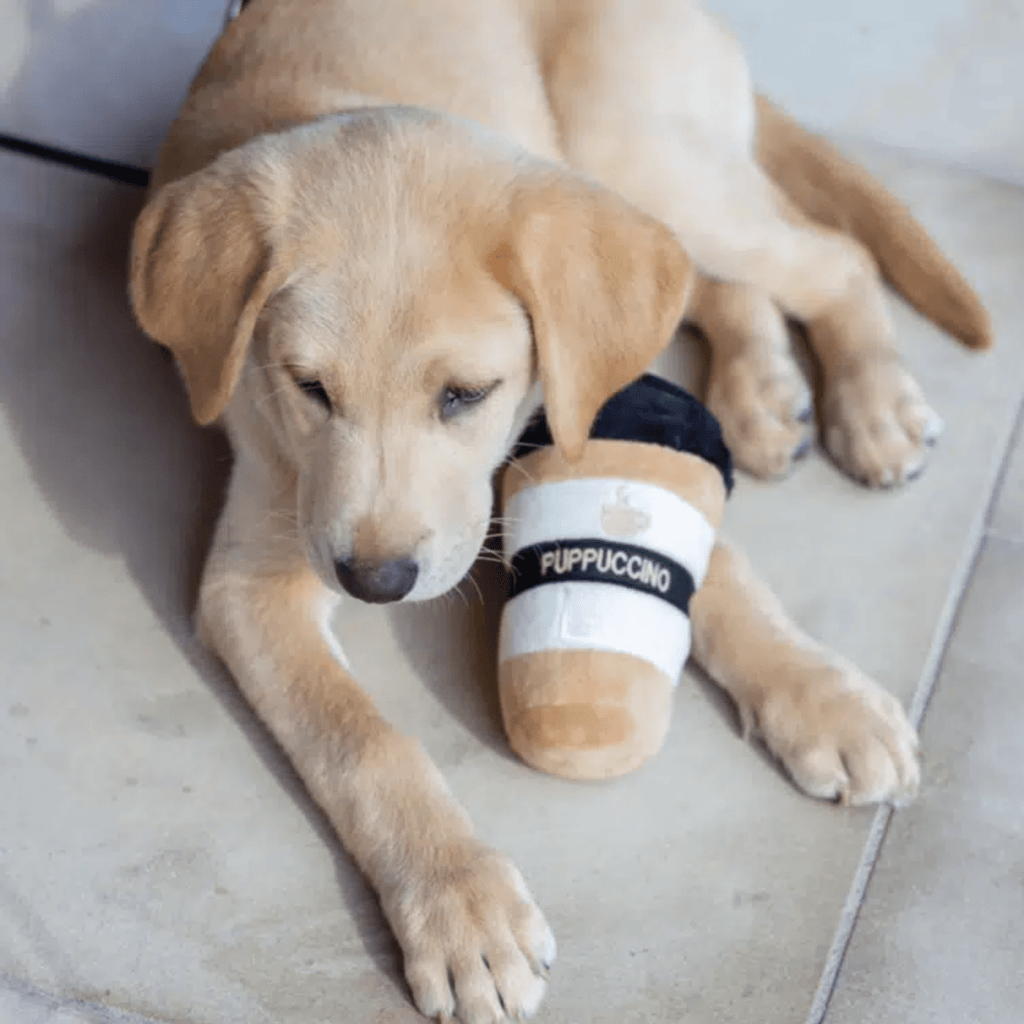 Chewtique - Hondenspeelgoed van pluche met pieper - Mivero