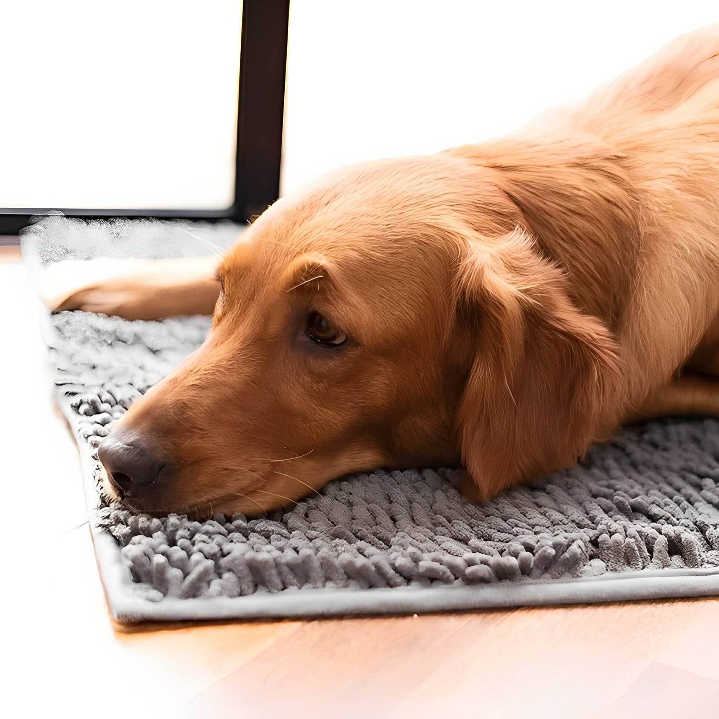 cleanpaw - honden deurmat absorberend antislip - mivero