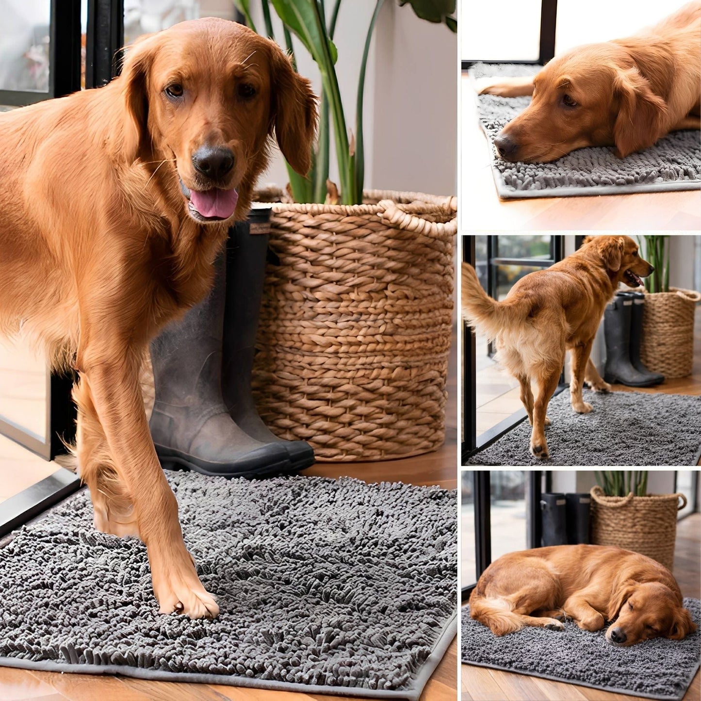 cleanpaw - honden deurmat absorberend antislip - mivero
