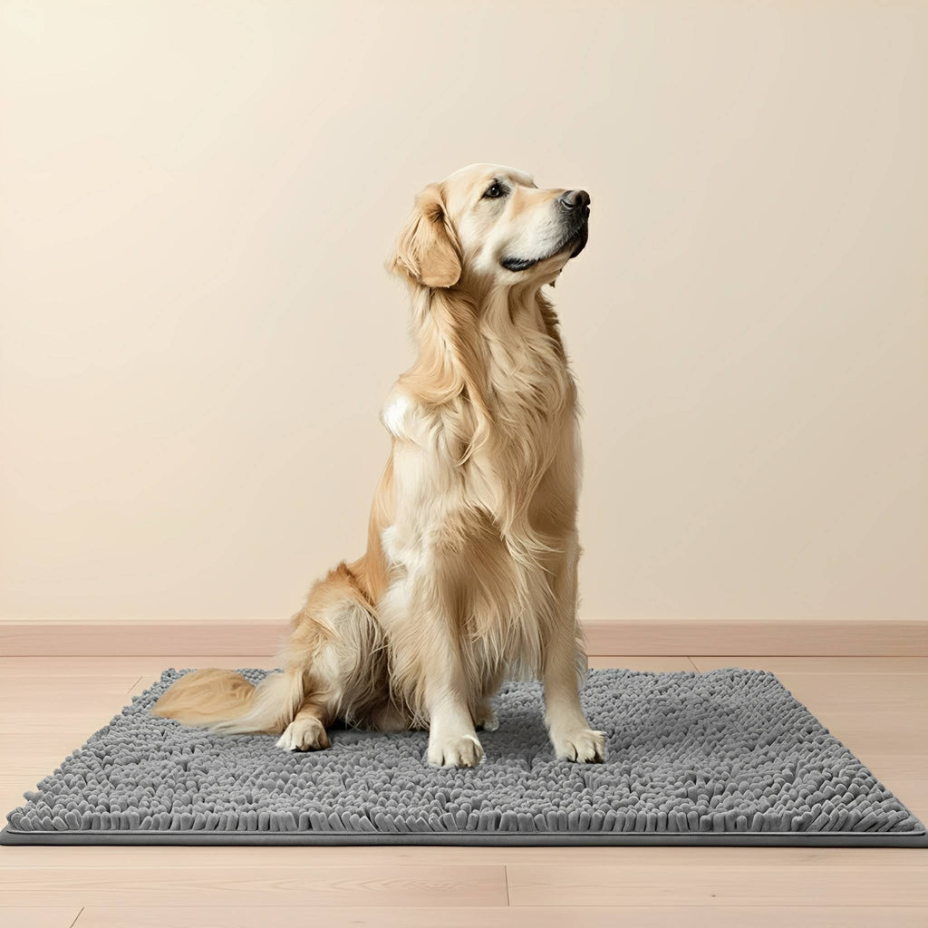 CleanPaw - Honden Deurmat Absorberend Antislip - Mivero