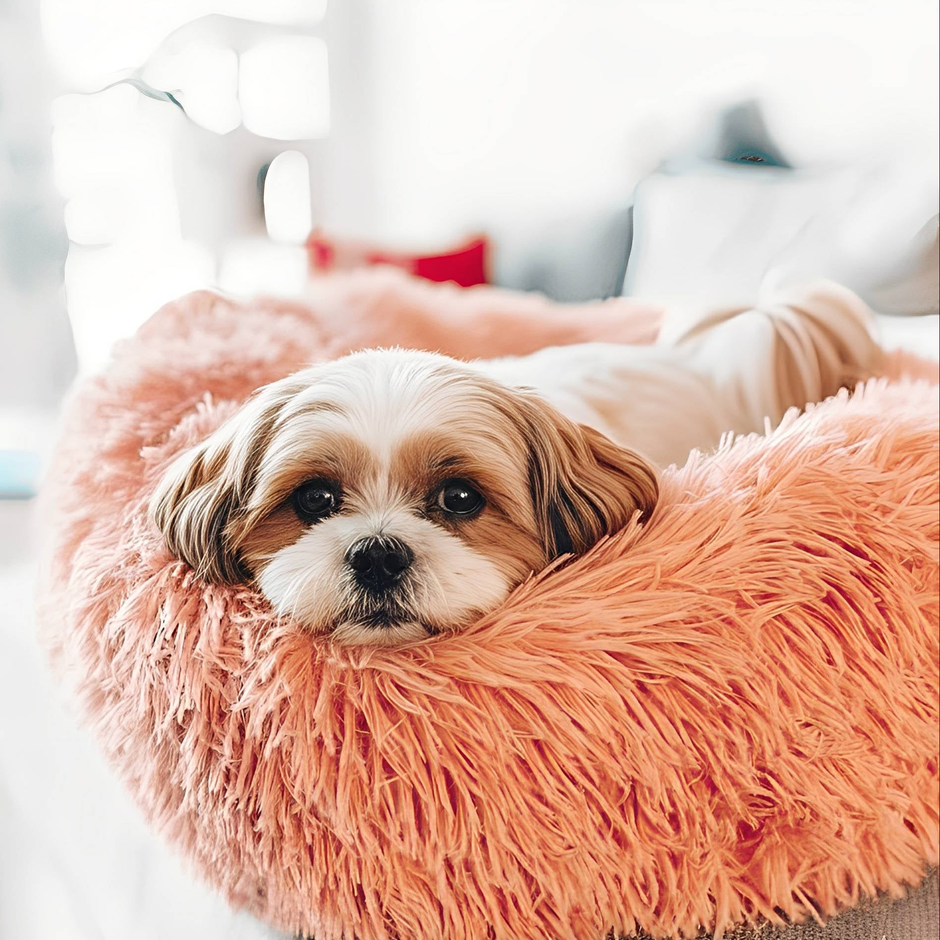 Cloud 9 Hondenbed - KaHondenmand Donut Kalmerend Pluche - Mivero