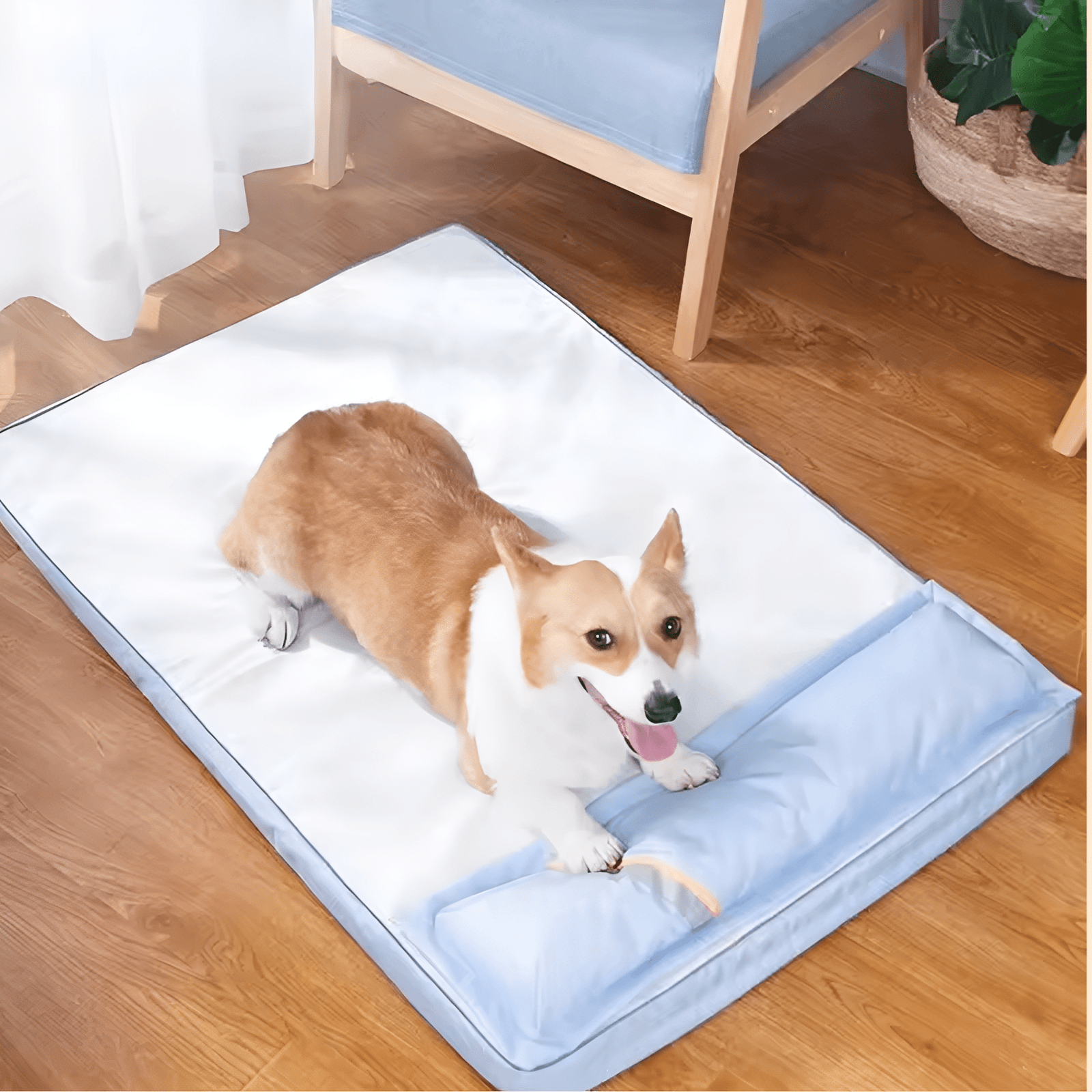 ComfiPaws - Orthopedisch Wasbaar Hondenbed - Mivero