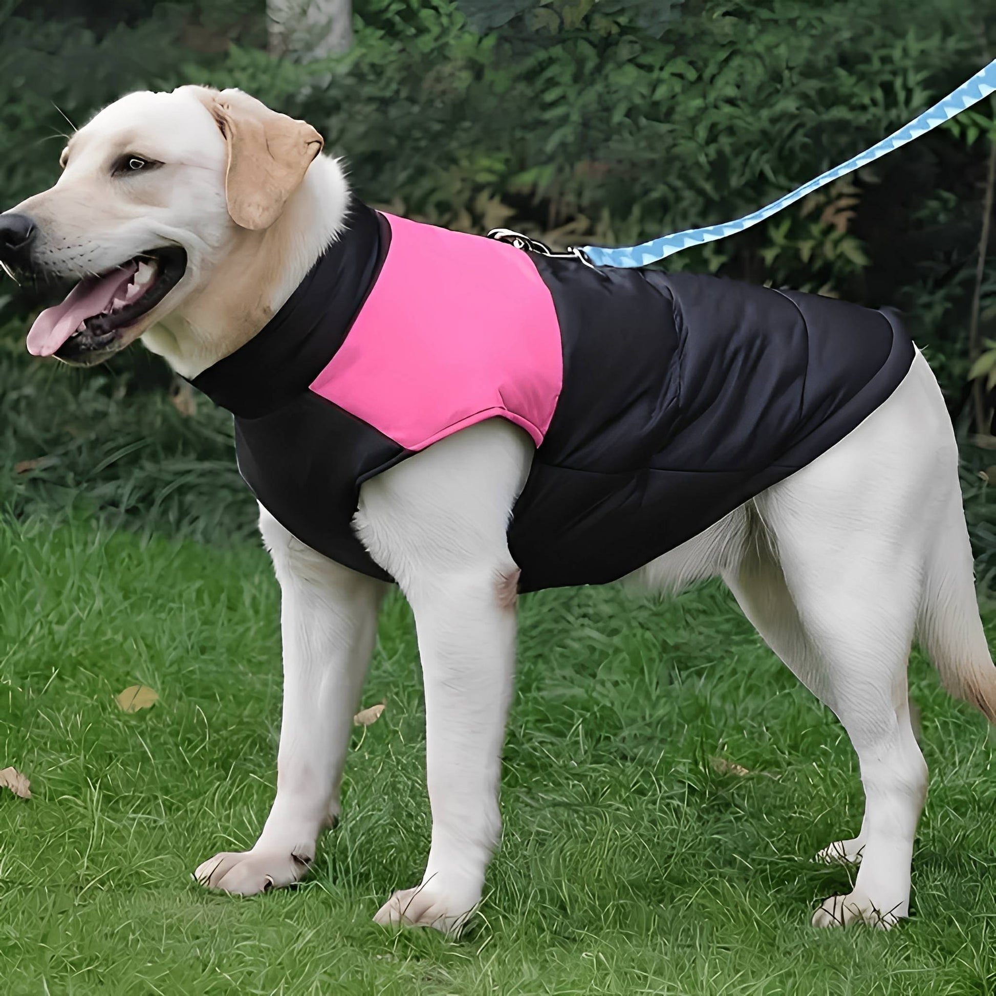 ComFura - Chaqueta para perros impermeable con cremallera y arnés