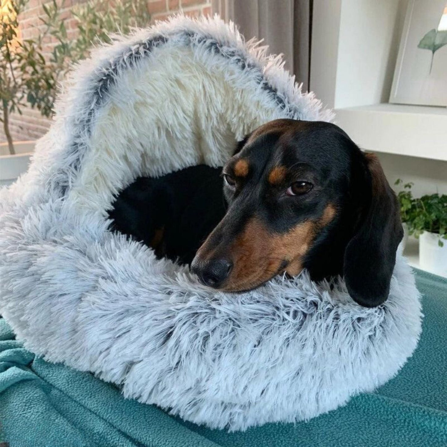 cozycave - knusse huisdierenmand - mivero