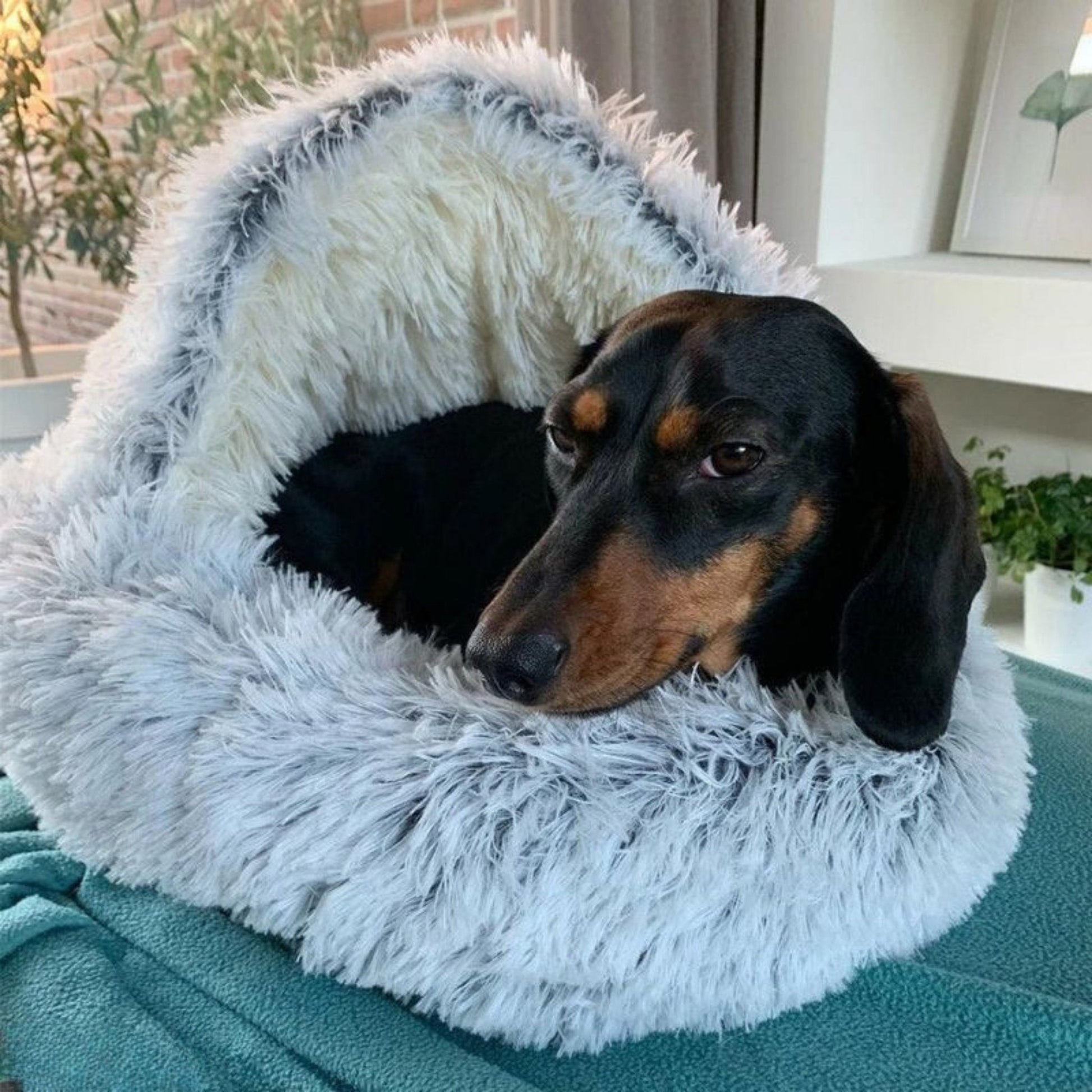 CozyCave - Knusse Huisdierenmand - Mivero