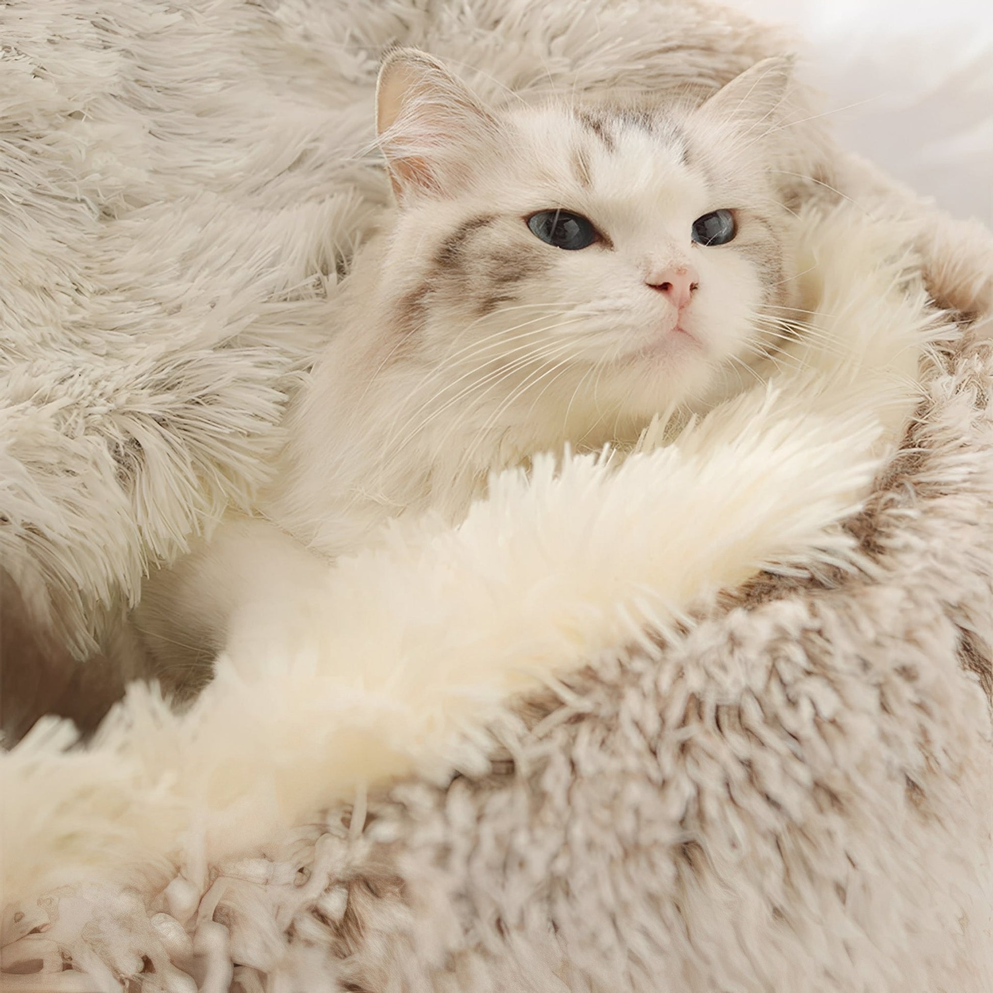 CozyCave - Warme Knusse Huisdierenmand - Mivero