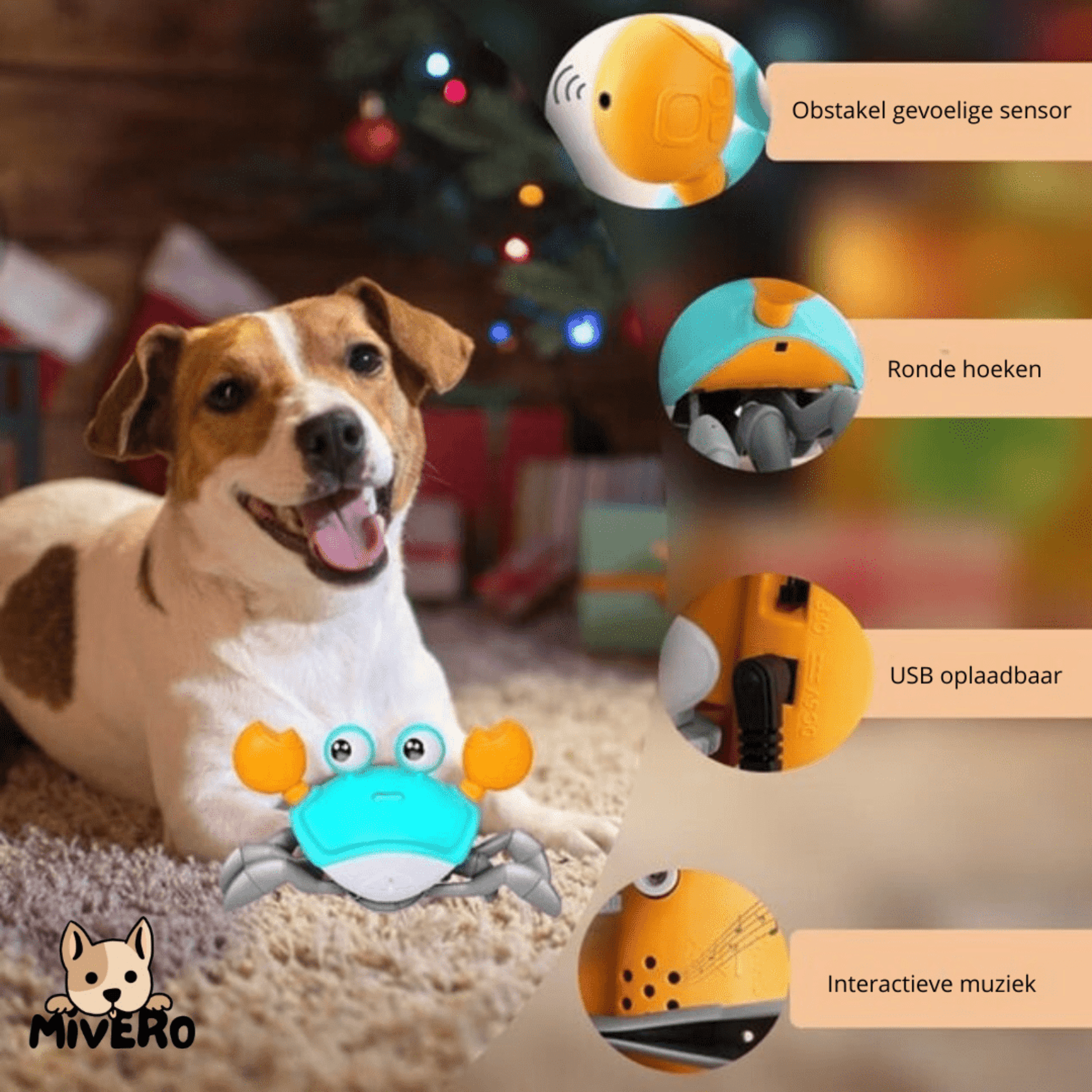 Crabby - De Ultieme Uitdaging voor elke Hond! - Mivero