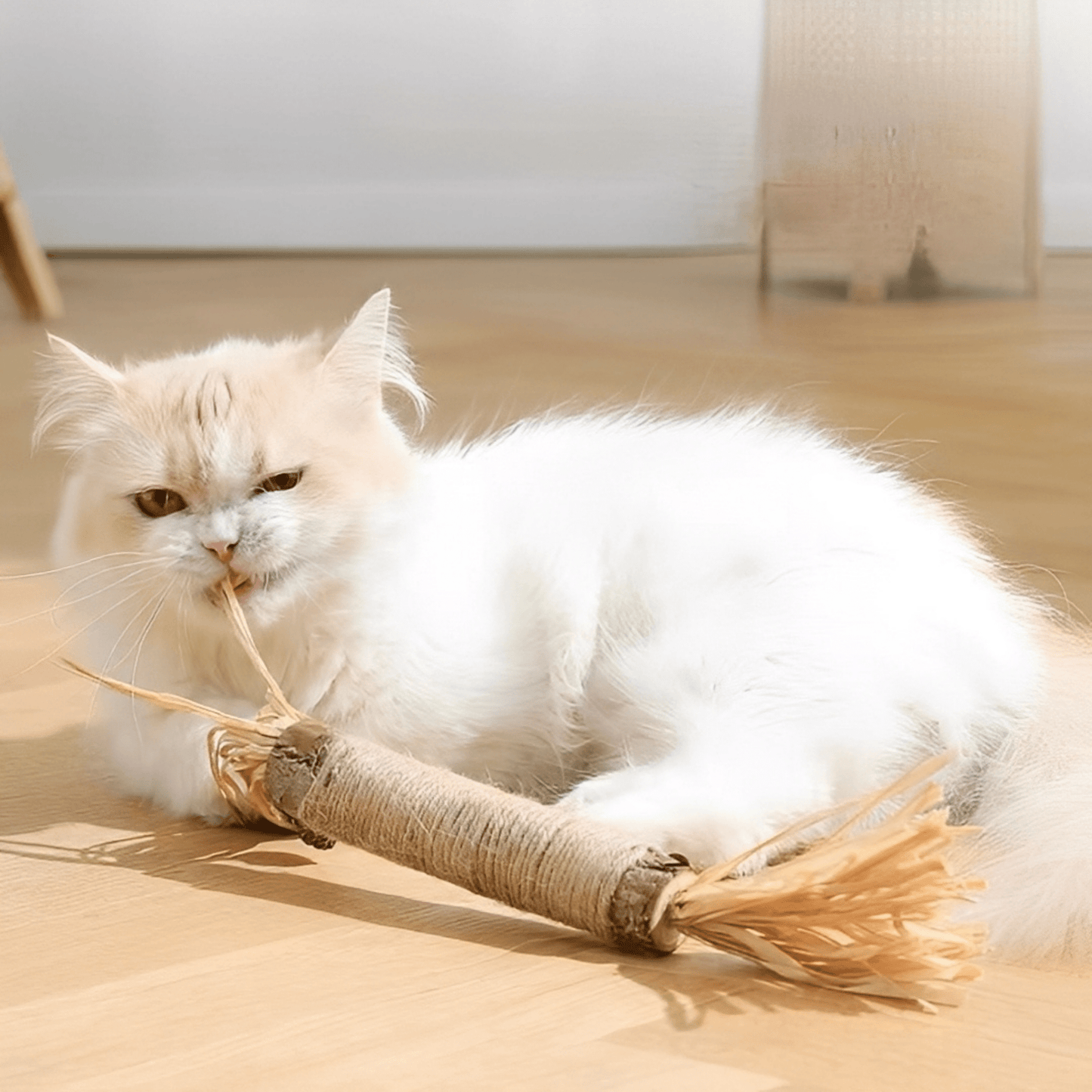 dentibite - katten matatabi kauwstokjes tandverzorging - mivero