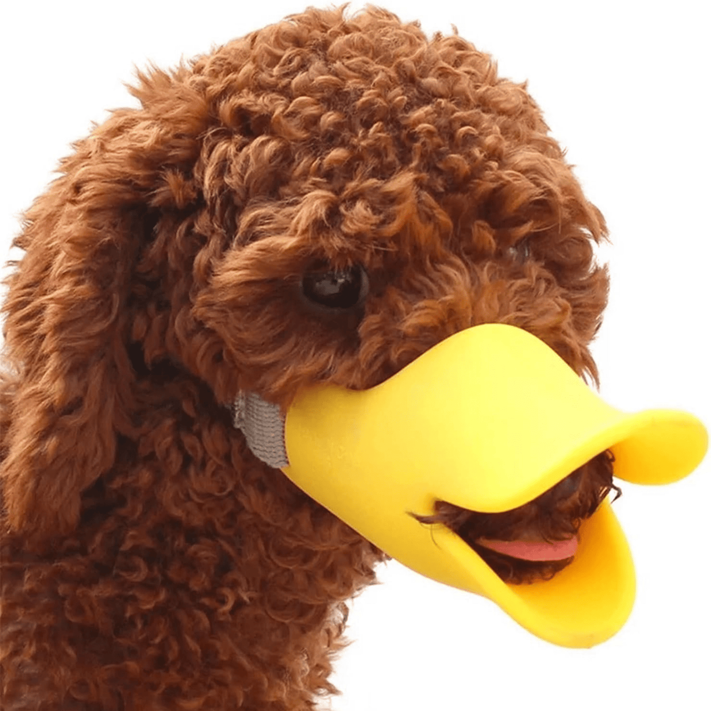 ducko - zachte eendenbek hondenmuilband - mivero