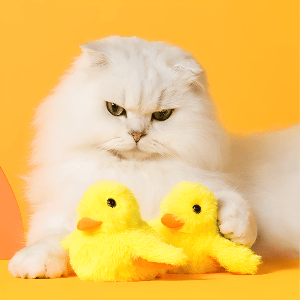 Ducksy - Kattenspeeltje Flappende Eend Met Geluid USB - oplaadbaar - Mivero