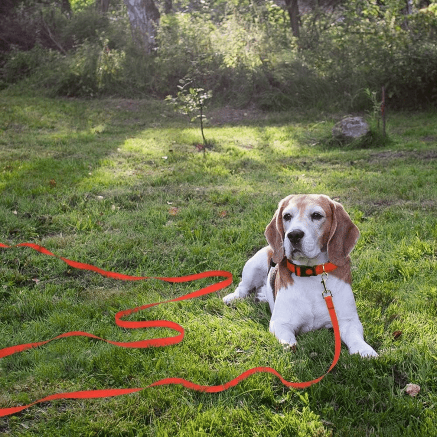duratrail - waterafstotende trainings schleppleine - mivero