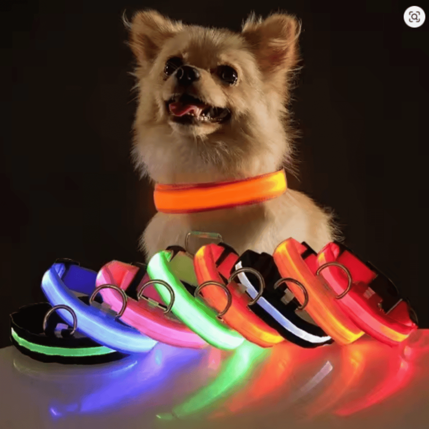glowpup - oplaadbare led halsband - mivero