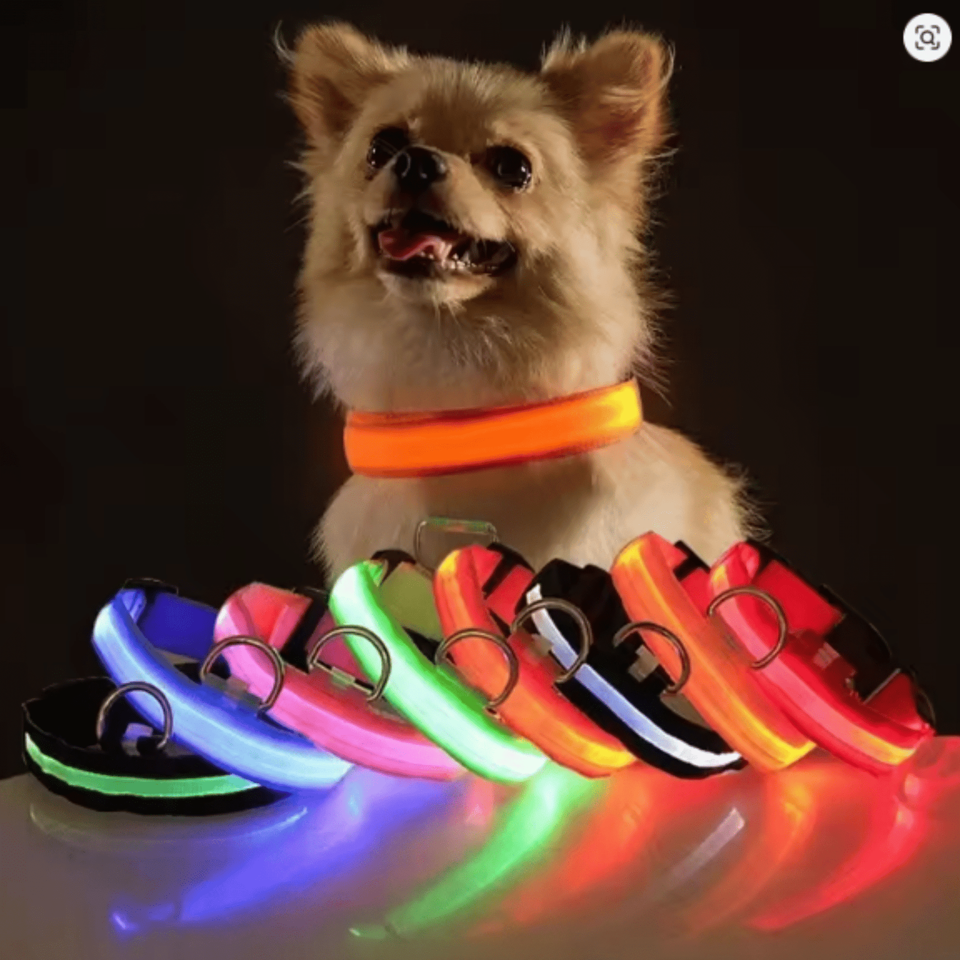 GlowPup - Oplaadbare LED Halsband - Mivero
