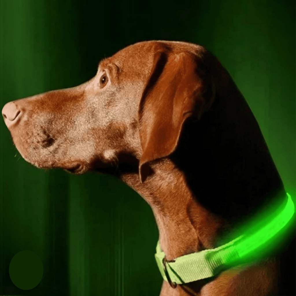 GlowPup - Oplaadbare LED Halsband - Mivero