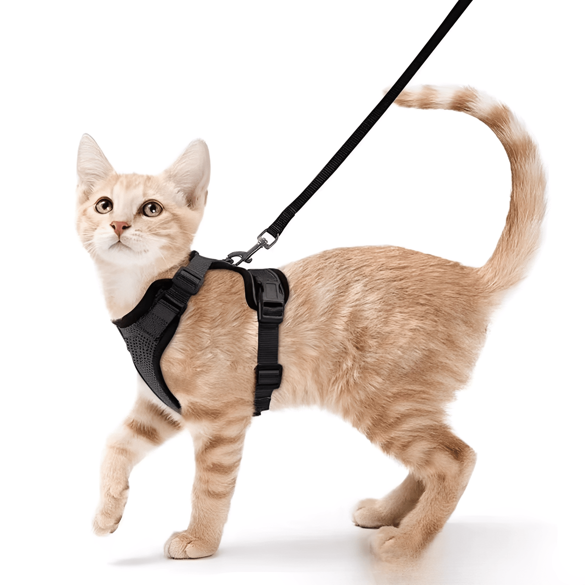 Harnix - Ademend Verstelbaar Kattenharnas - Mivero