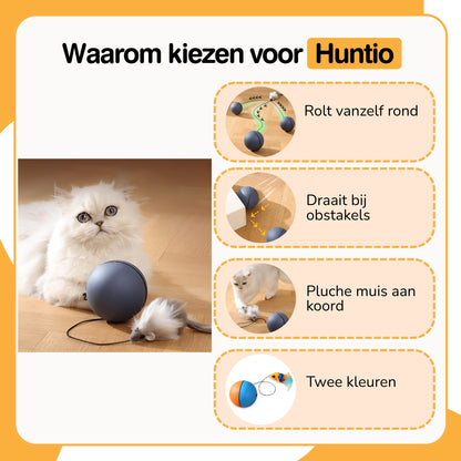 Huntio - Kattenspeelgoed Zelfrollende Bal met Muis - Mivero