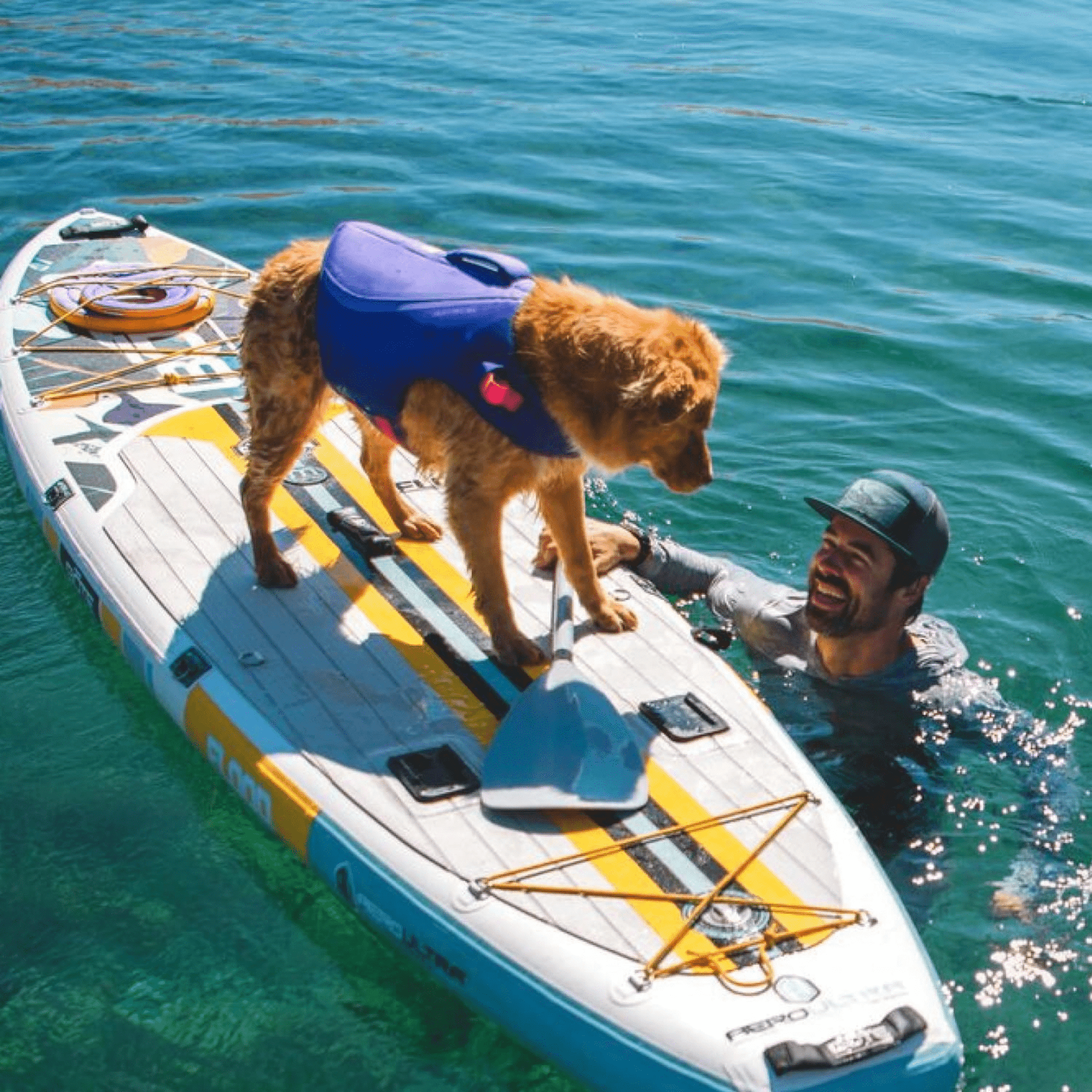 Hydrohound - Drijvend Reflecterend Hondenzwemvest - Mivero