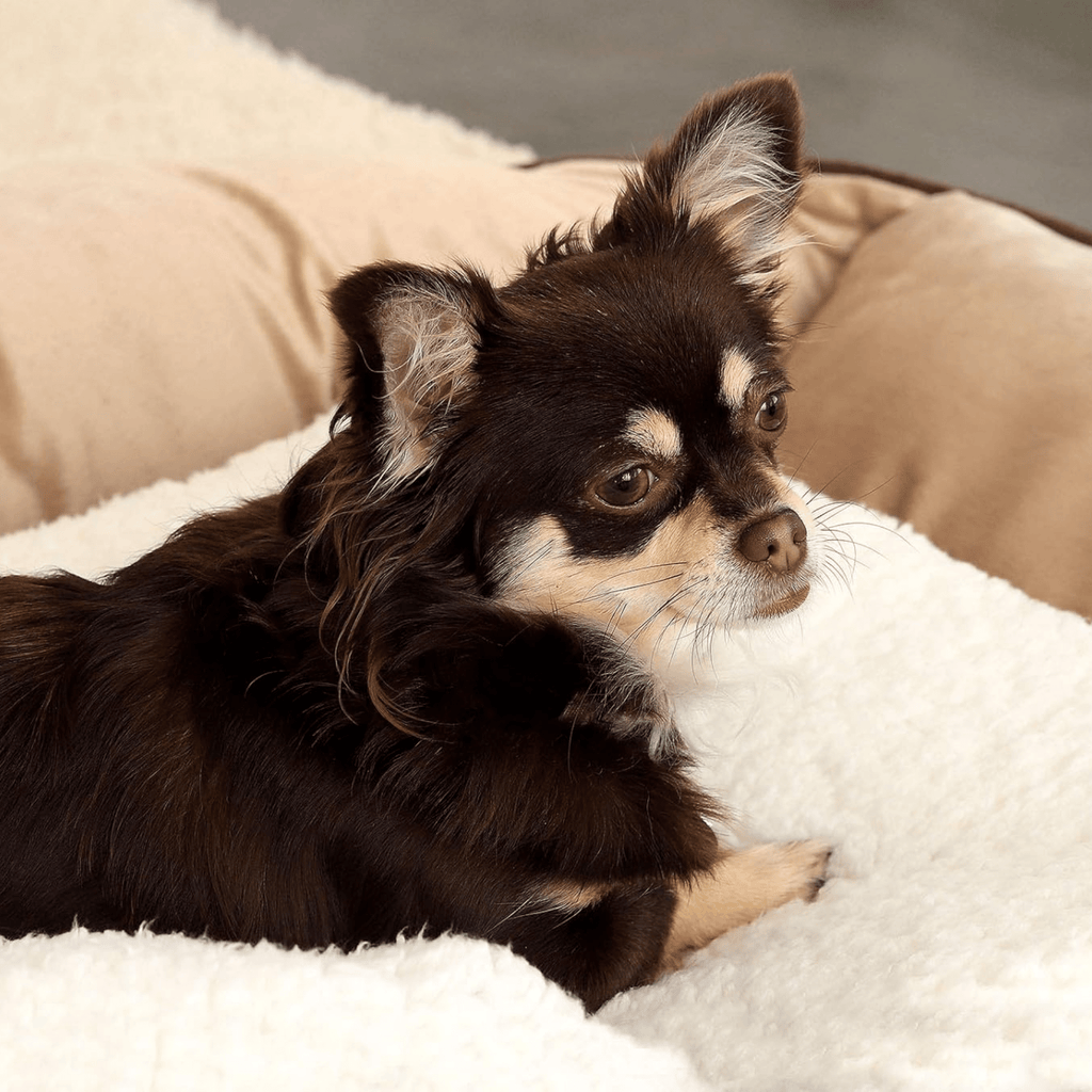 Kozyra - Warmtemat Honden & Katten Zelfverwarmend - Mivero