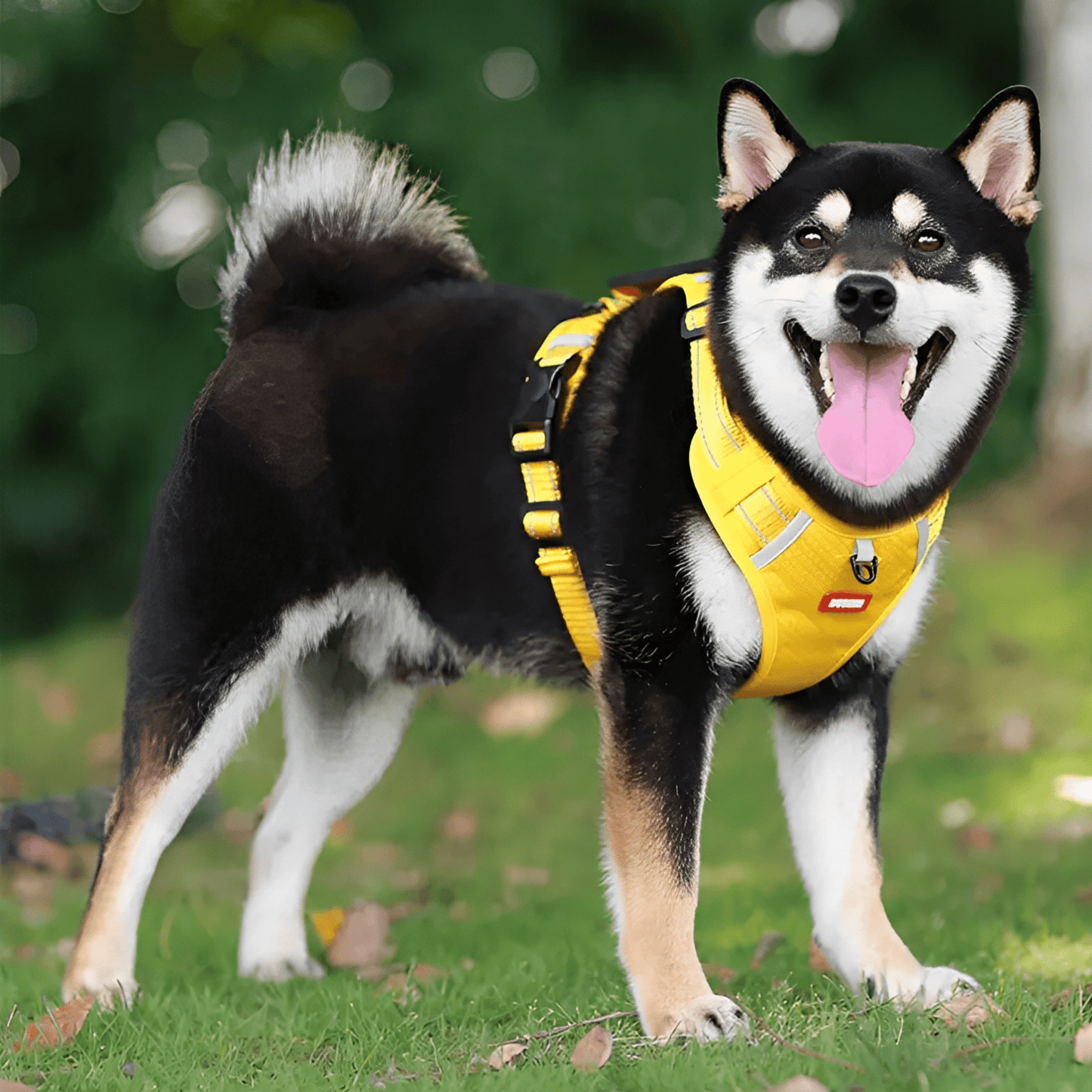 leashfriend - zorgt ervoor dat je hond nooit meer pijn heeft tijdens het uitlaten! - mivero