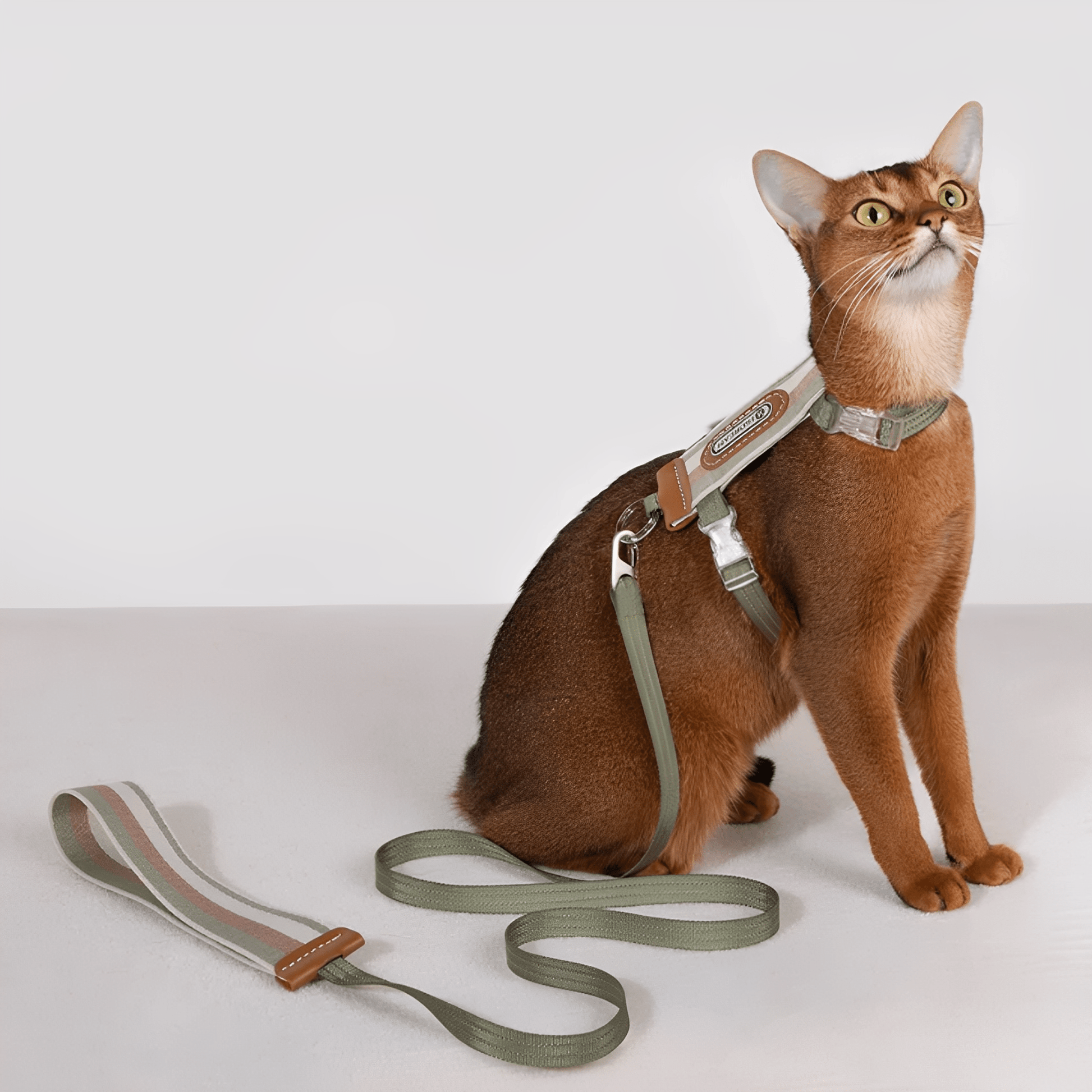 Meowalk - Reflecterend Ergonomisch Kattentuigje - Mivero