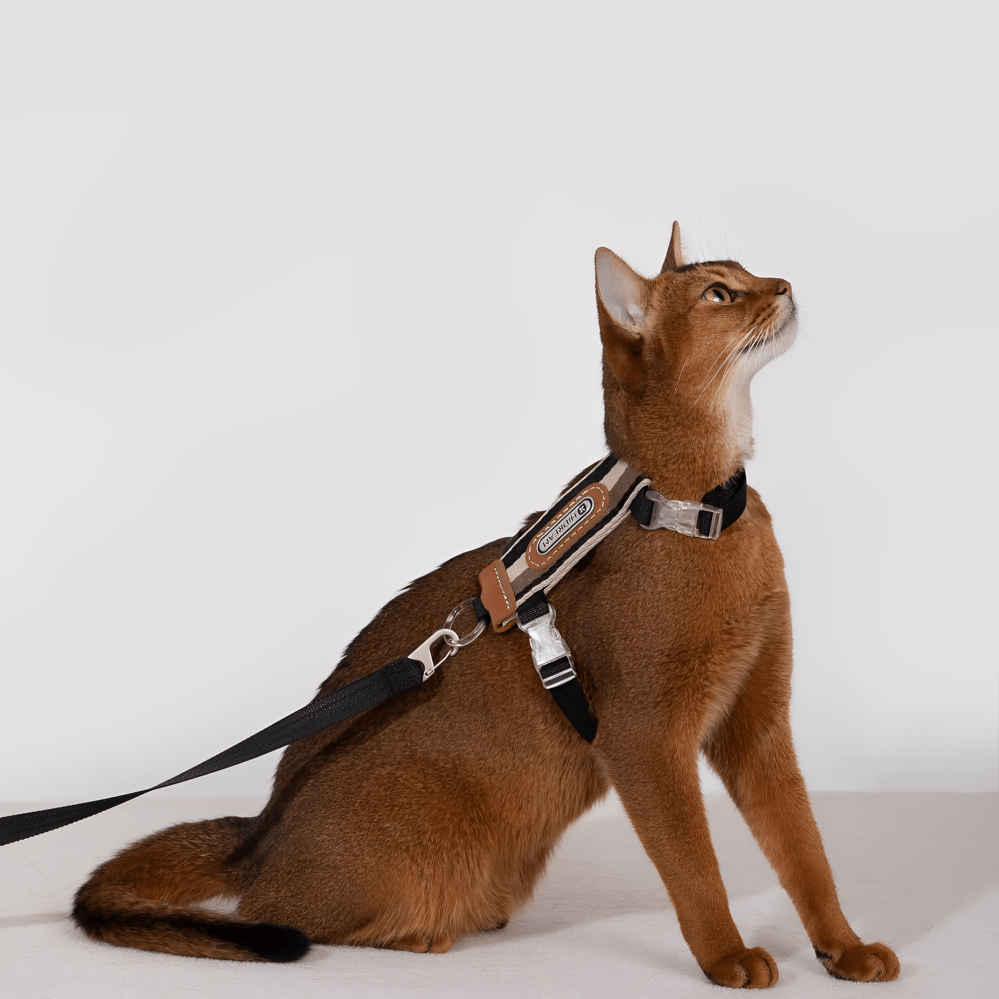 Meowalk - Reflecterend Ergonomisch Kattentuigje - Mivero