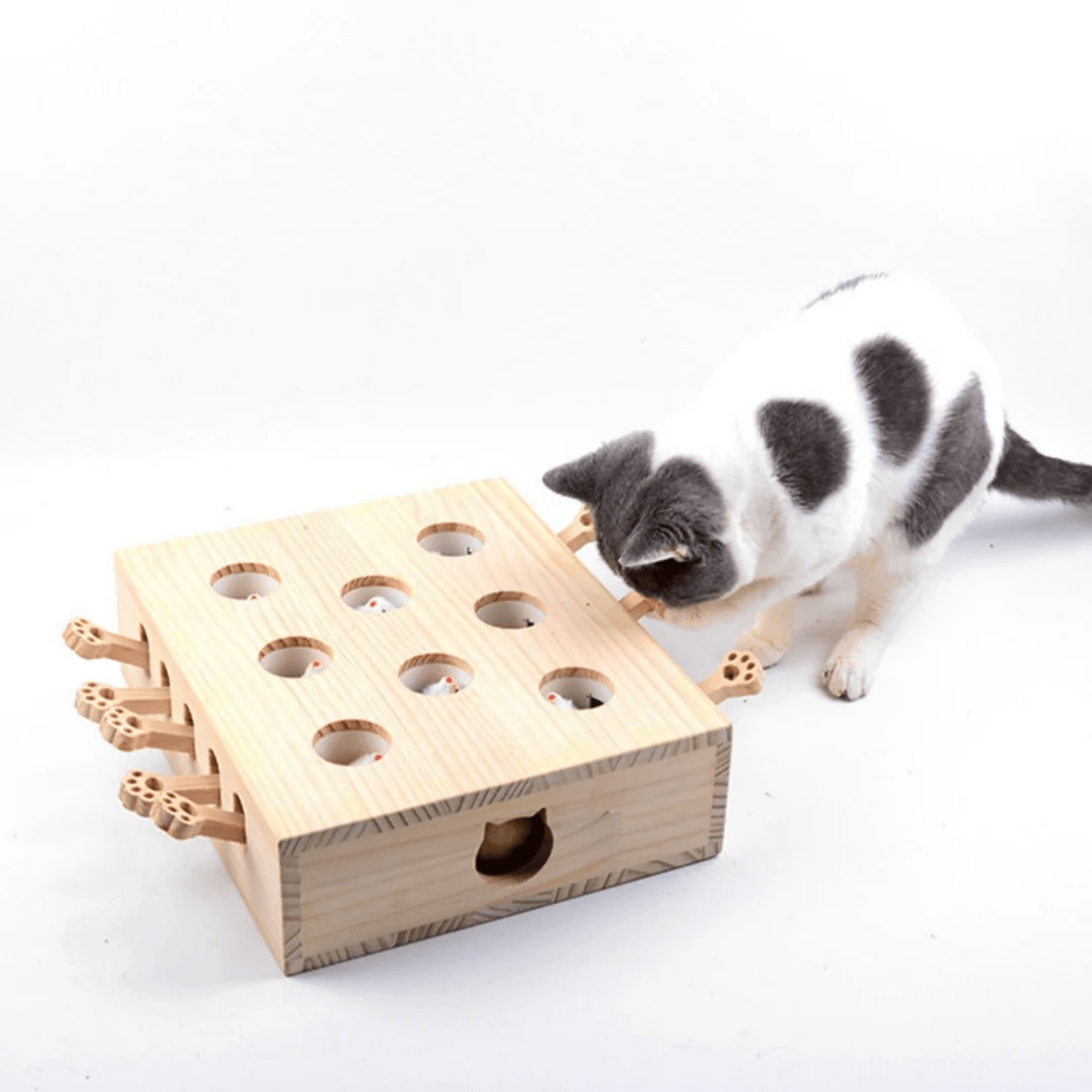 molehunt - houten interactief whack - a - mole kattenspeelgoed - mivero