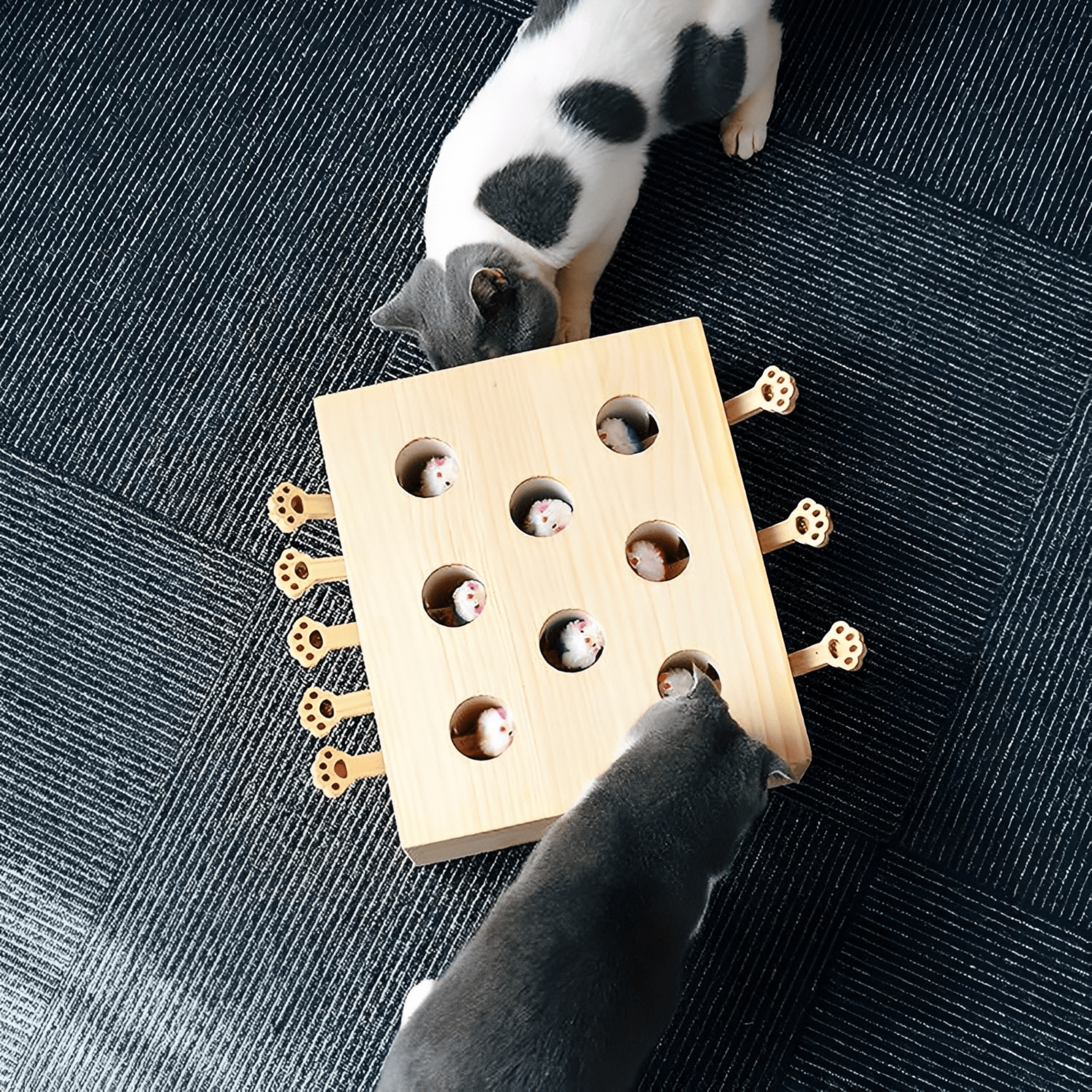 MoleHunt - Houten Interactief Whack - a - Mole Kattenspeelgoed - Mivero