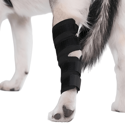 PawBrace - Orthopedische Honden Pootbrace - Mivero