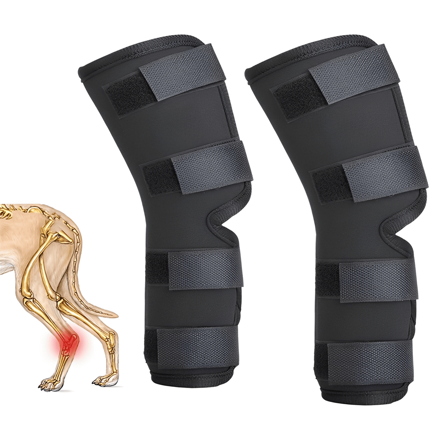 pawbrace - orthopedische honden pootbrace - mivero