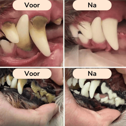 PawBrush - De Ultieme Tandverzorgingsset - Mivero