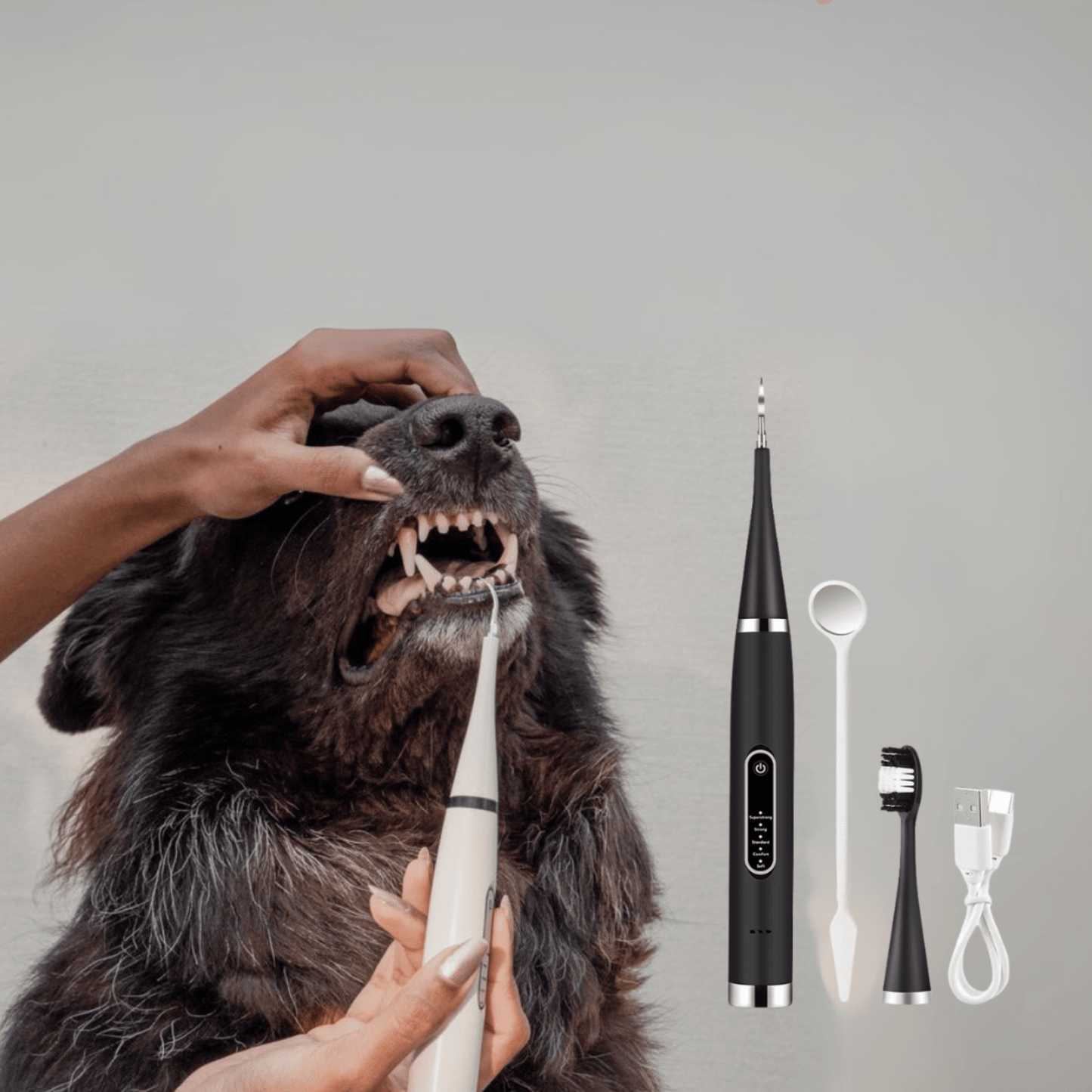 pawbrush - de ultieme tandverzorgingsset - mivero